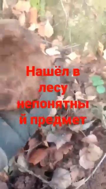 нашёл в лесу непонятный предмет--коп по войне .