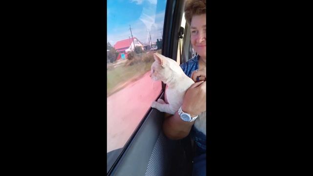 Персик первая поездка