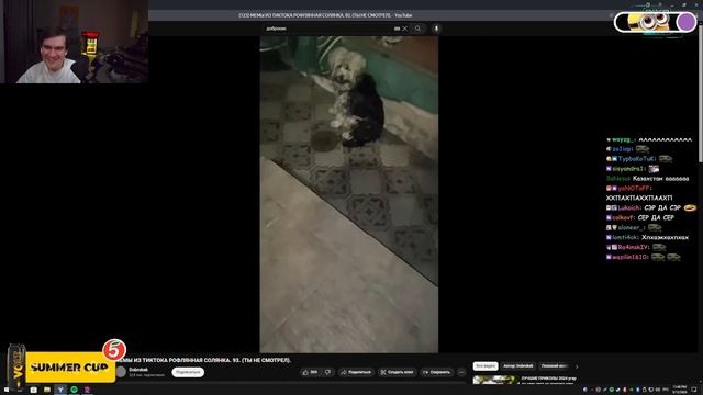 БРАТИШКИН СМОТРИТ МЕМЫ ИЗ ТИКТОКА РОФЛЯННАЯ СОЛЯНКА 93. ДОБРОКЕК