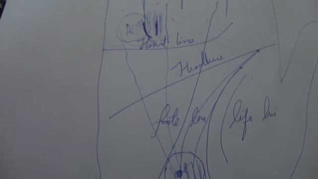 mount of neptune /random points palmistry