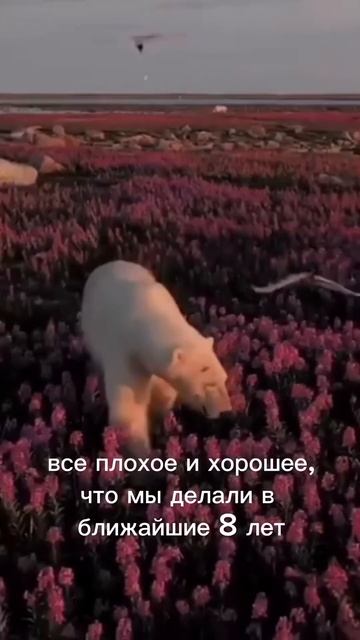 В 2024 будет влиять Сатурн - планета справедливости и мудрости. Как подстелить солому? Читай⤵️ #202