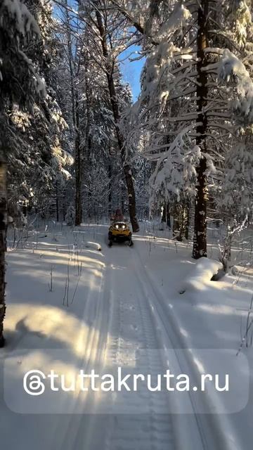 Снегоходы в Карелии