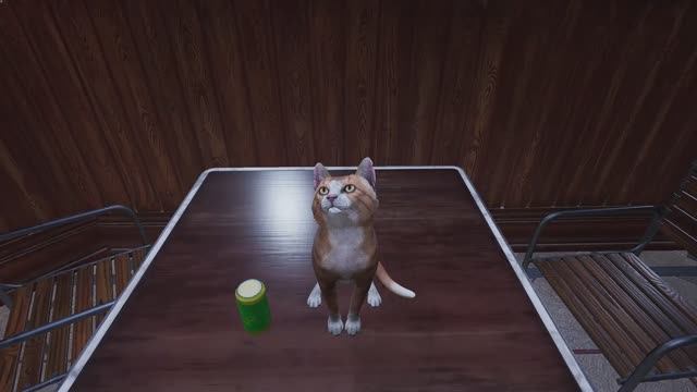 ЕНОТ КОТОРЫЙ ЧТО-ТО СКРЫВАЕТ `~` индиго парк 1 серия