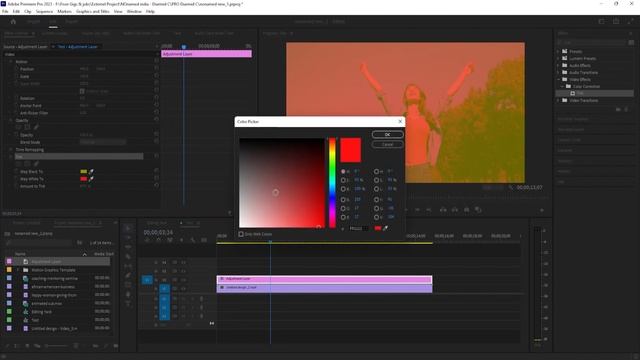 How to Change Video Color Tint Effect Premiere Pro | Learn Adobe #adobepremierepro