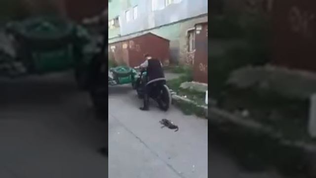 СпанчБобер