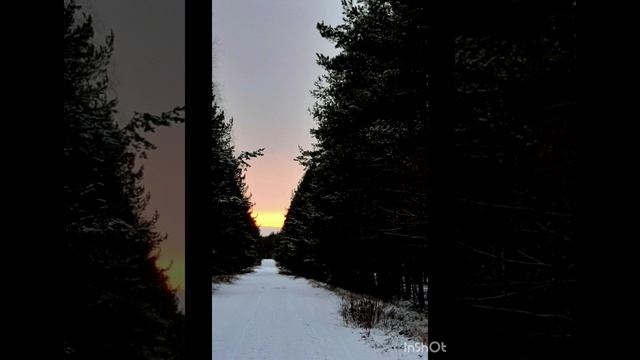 04-02-2025 вечерняя закатная прогулка в  феврале...