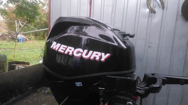 2008 mercury 25 EFI outboard motor 4-stroke ( 4-SUW )