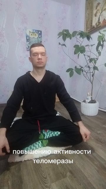 медитация замедляет процесс старения