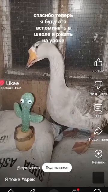 scene_output.mp4
