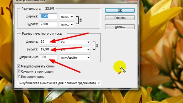 Prepare photos to print _ How to increase the resolution of photos without loss of quality