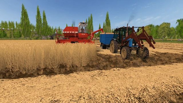 Скринография FS 15/17