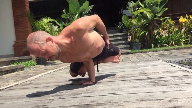 eka hasta padma mayurasana. @Kostrikin_yoga йога, маюрасана - балансы на одной руке