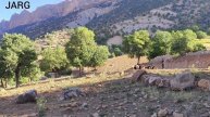 Lasting traditions: preserving the nomadic way of life of Fereshte and his brother