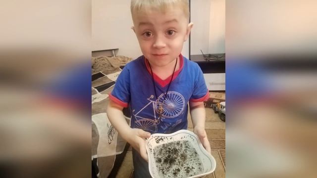 Ах снег, снежок!