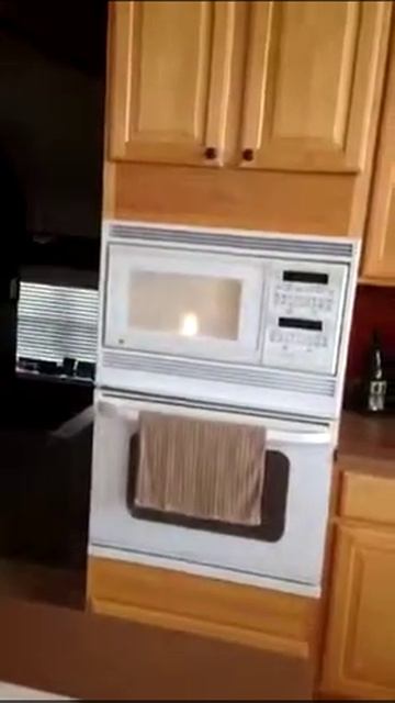 Microwaving a lightbulb