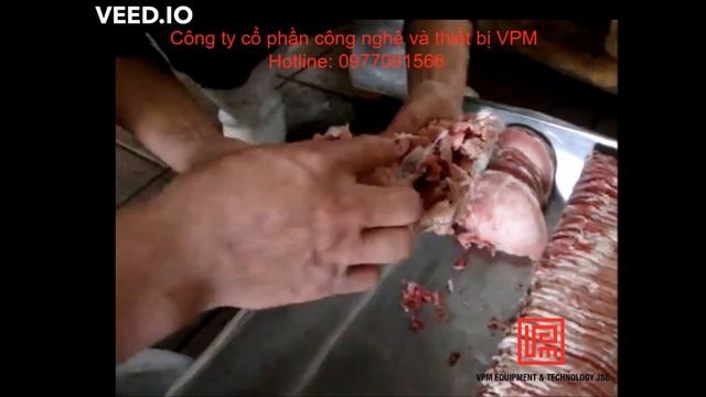 MÁY THÁI LÁT THỊT ĐÔNG LẠNH