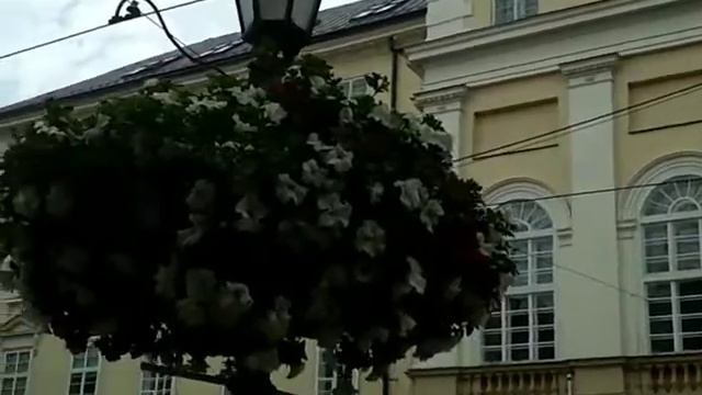 Львов. Трубачи.