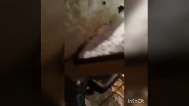 Ремонт днище оки