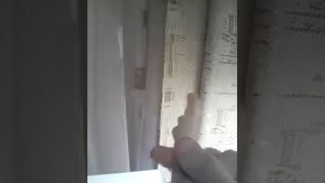 1 часть, Котёнок Гав потерялся