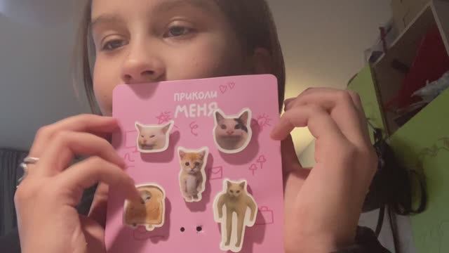 Брелки мем коты()()Keychains meme cats()()🐱