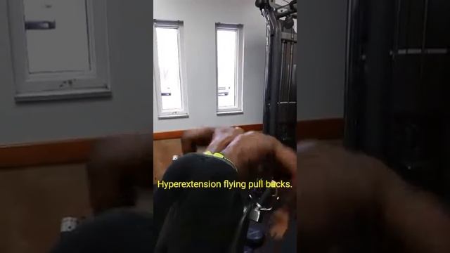 12/28/16. LG hyperextension Rows with Lamont Gilchrist Natty.