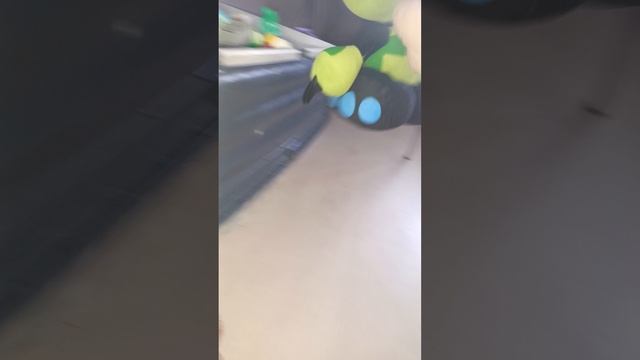 VID_20250205_121710