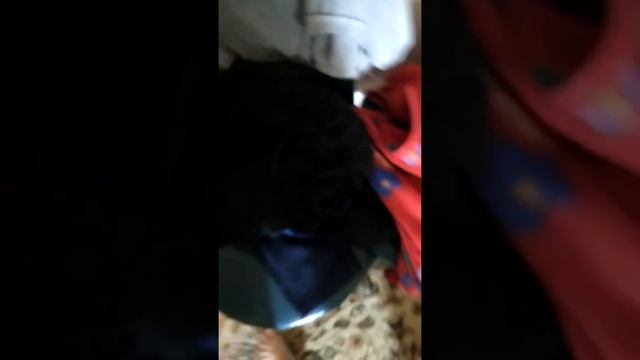 ребята они уснули через час будет новое видео 😁🥺
