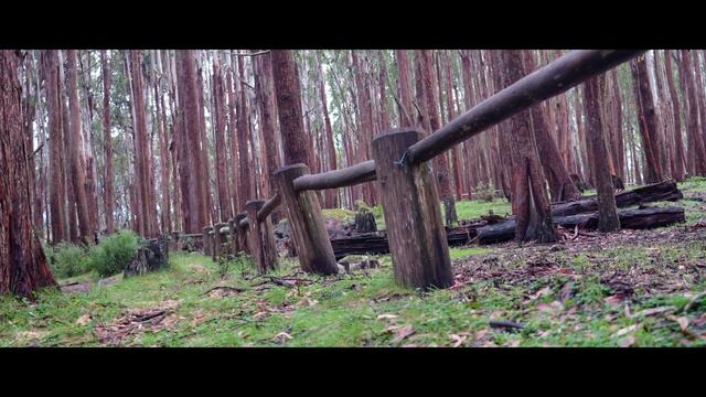 IT JUST KEEPS ON GIVING - VIC HIGH COUNTRY AT IT'S FINEST...ULTIMATE HIGH COUNTRY eP3