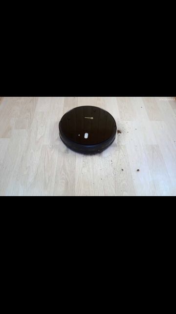 1000112737.mp4
