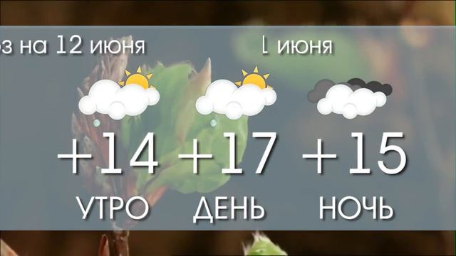 ПОГОДА С 11 ПО 12 ИЮНЯ