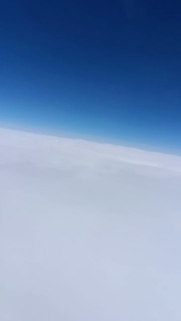 S7 airlines 321 айробус