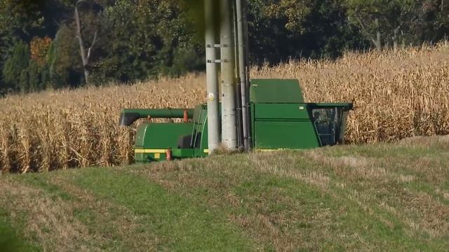 John Deere WTS 9640i & Geringhoff - zbiór kukurydzy