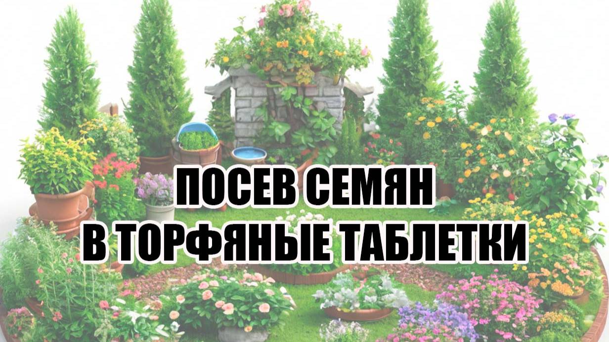 ПОСЕВ СЕМЯН В ТОРФЯНЫЕ ТАБЛЕТКИ