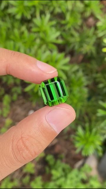 Турмалин 15ct
По вопросам приобретения обращайтесь по
т.89308055550