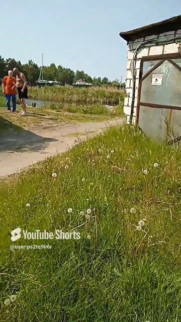 смех