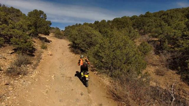 DUAL SPORT ADVENTURE - CAN THE the DRZ400 trail ride with 15 38 gearing?