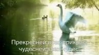 Я пью Твою любовь