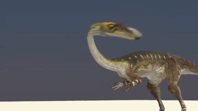 Coelophysis animation