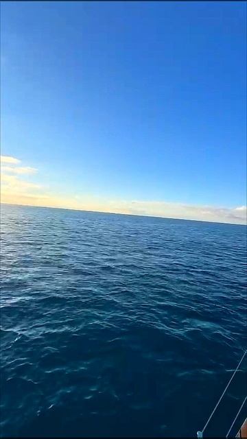 Предлагаем отправиться в настоящее морское путешествие на комфортабельной парусной яхте из Адлера ⛵