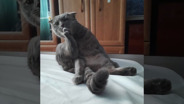 Ванна...