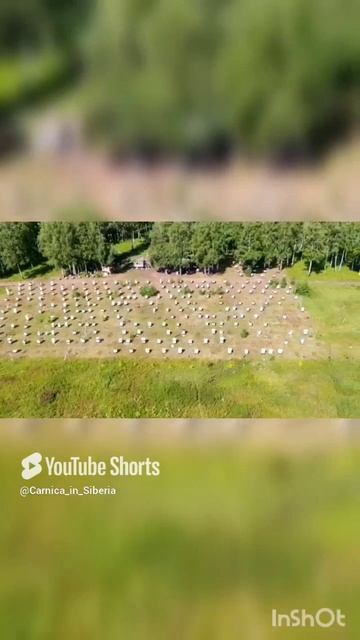 Пасека Драбковых. Красноярский край Абанский рай-он, съёмка с дрона.