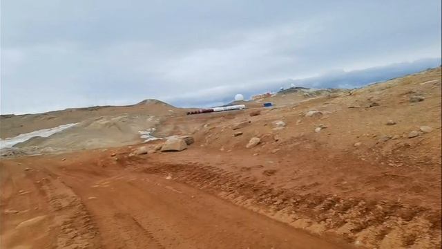 Меня кошмарят поморники. Станция Прогресс. Антарктида.