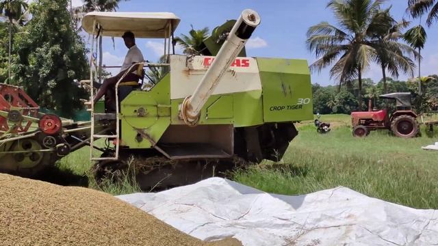 CLAAS CROP TIGER 30 | Paddy harvesting In Kerala | harvesting Machine | കൊയ്ത്ത്  മെഷീൻ| M2Techvlog