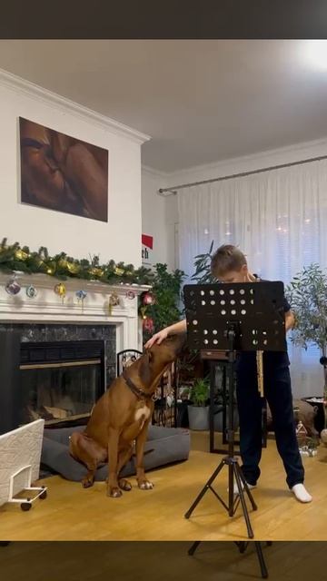 VID-20250119-WA0018.mp4