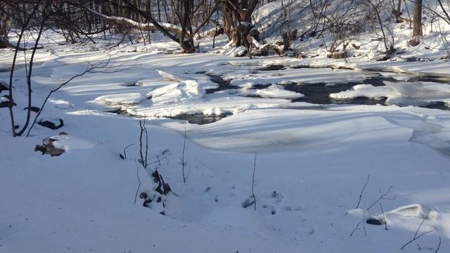 Two minutes of a river flowing through the snow
