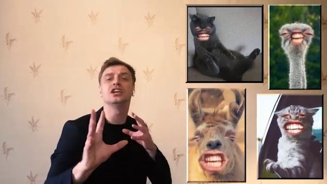 GOMAN-Счастливая песня