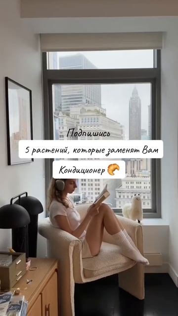 5 растений, которые заменят Вам кондиционер #рек #реки #врек