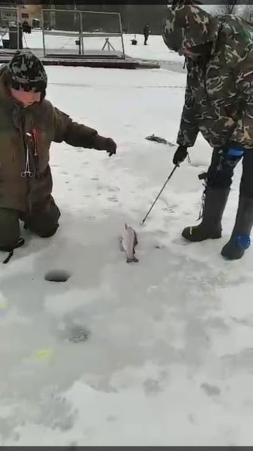 1000022856.mp4