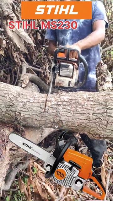 Shorts video STIHL MS 230