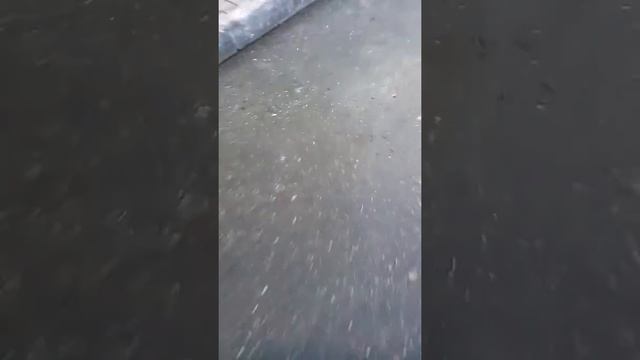 Еду на скейте